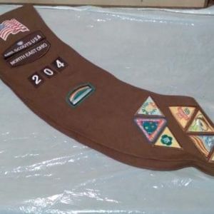 Girl scout badges plus
